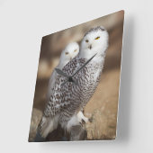 Snowy Owls Vierkante Klok (Hoek)