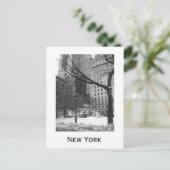 Snowy Park in New York Briefkaart (Staand voorkant)