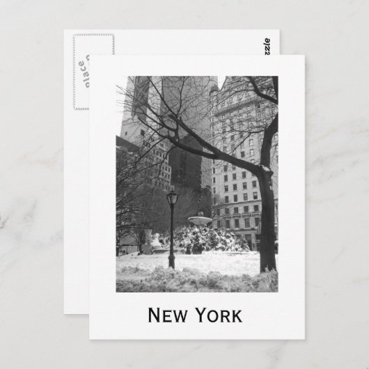 Snowy Park in New York Briefkaart (Voorkant / Achterkant)