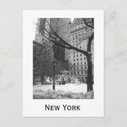 Snowy Park in New York Briefkaart
