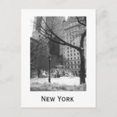 Snowy Park in New York Briefkaart (Voorkant)
