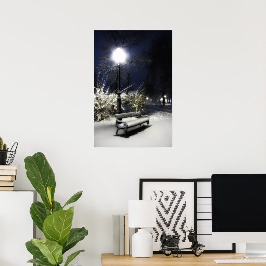 Snowy Park Poster (Thuiskantoor)