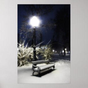 Snowy Park Poster