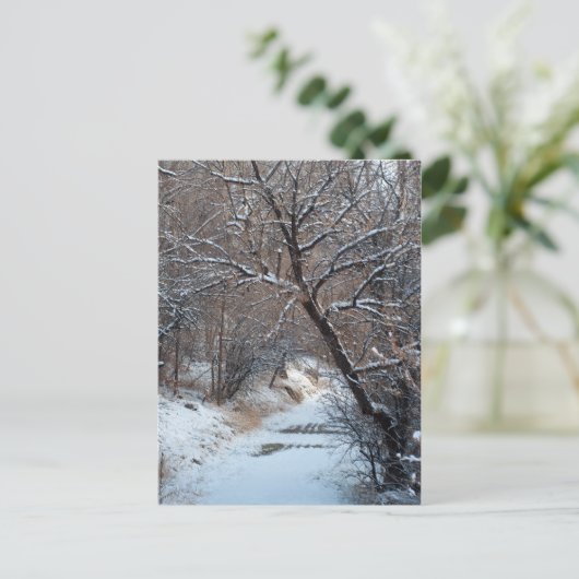 Snowy Path Winter Foto Briefkaart (Staand voorkant)
