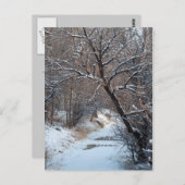 Snowy Path Winter Foto Briefkaart (Voorkant / Achterkant)