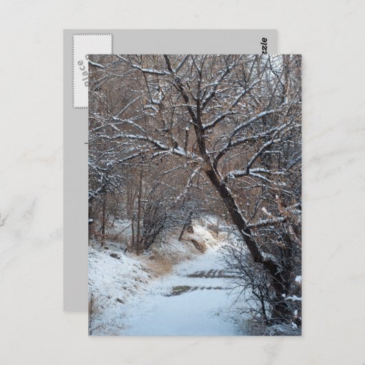 Snowy Path Winter Foto Briefkaart (Voorkant / Achterkant)
