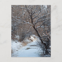 Snowy Path Winter Foto Briefkaart
