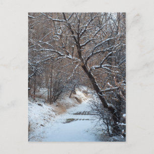 Snowy Path Winter Foto Briefkaart