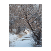 Snowy Path Winter Foto Briefkaart