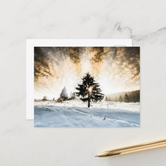 Snowy Pathway Briefkaart