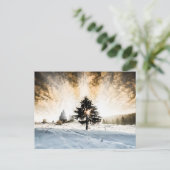 Snowy Pathway Briefkaart (Staand voorkant)