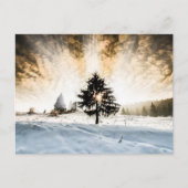 Snowy Pathway Briefkaart (Voorkant)