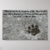 Snowy Paw Print (Voorkant)