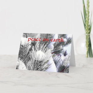 Snowy Peace Winter Blessings Horse Pony Christmas Feestdagen Kaart