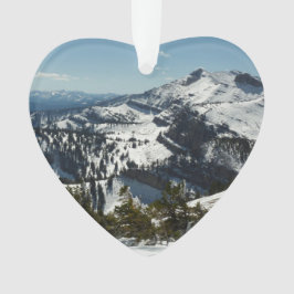 Snowy Peaks van Grand Teton Mountains II Foto Ornament