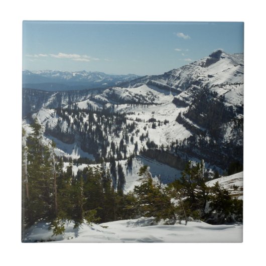 Snowy Peaks van Grand Teton Mountains II Foto Tegeltje (Voorkant)