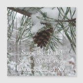 Snowy Pine Branch Winter Natuur (Voorkant)