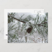 Snowy Pine Branch Winter Natuur Briefkaart (Voorkant / Achterkant)