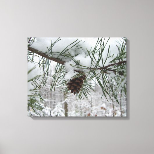 Snowy Pine Branch Winter Natuur Canvas Afdruk (Voorkant)