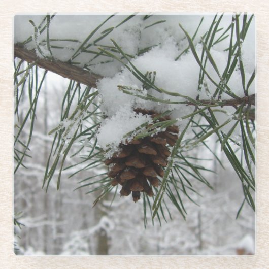 Snowy Pine Branch Winter Natuur Glazen Onderzetter (Voorkant)