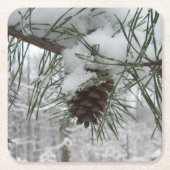 Snowy Pine Branch Winter Natuur Kartonnen Onderzetters (Voorkant)