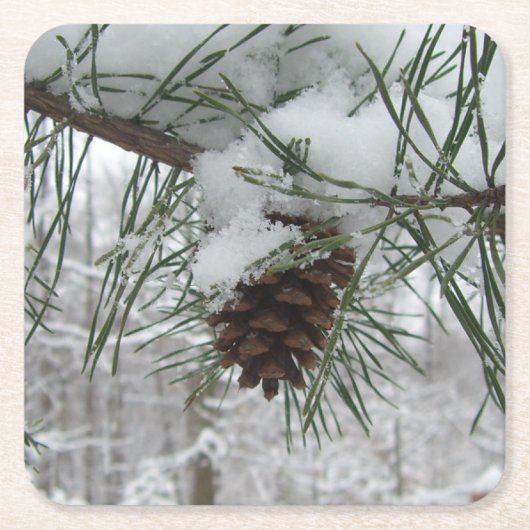 Snowy Pine Branch Winter Natuur Kartonnen Onderzetters (Voorkant)