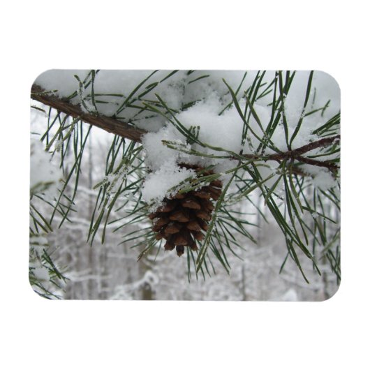 Snowy Pine Branch Winter Natuur Magneet (Horizontaal)