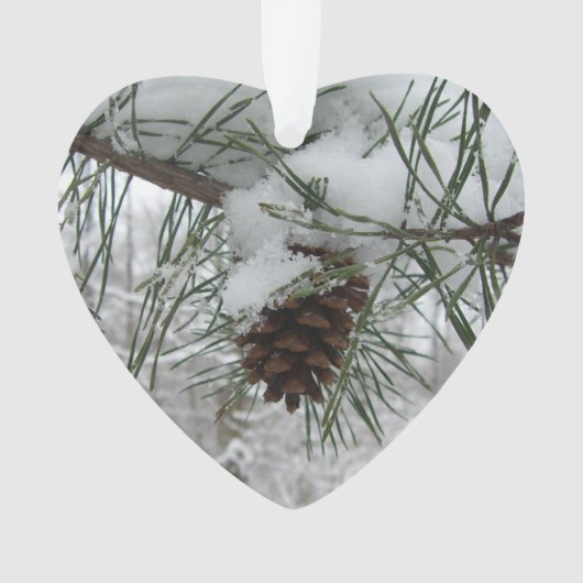 Snowy Pine Branch Winter Natuur Ornament (voorkant)