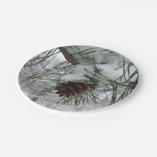 Snowy Pine Branch Winter Natuur Papieren Bordje (Gekanteld)