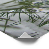 Snowy Pine Branch Winter Natuur Poster (Hoek)