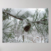 Snowy Pine Branch Winter Natuur Poster (Voorkant)