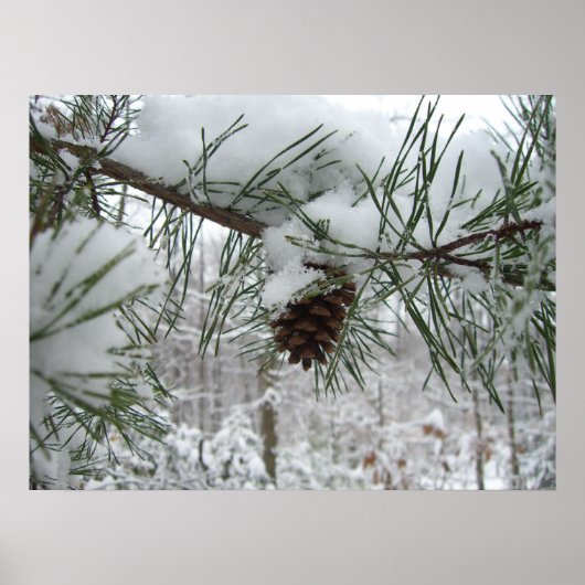 Snowy Pine Branch Winter Natuur Poster (Voorkant)