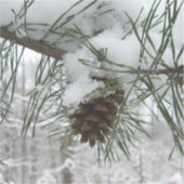 Snowy Pine Branch Winter Natuur Sticker (Voorkant)