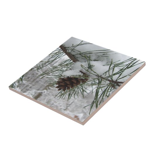 Snowy Pine Branch Winter Natuur Tegeltje (Zijkant)