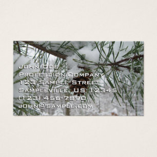 Snowy Pine Branch Winter Natuur Visitekaartje