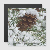 Snowy Pine Cone I Winter Natuur Foto (Voorkant / Achterkant)
