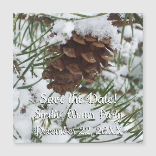 Snowy Pine Cone I Winter Natuur Foto (Voorkant)