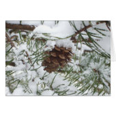 Snowy Pine Cone I Winter Natuur Foto (Voorkant Horizontaal)