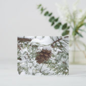 Snowy Pine Cone I Winter Natuur Foto Briefkaart (Staand voorkant)