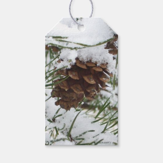 Snowy Pine Cone I Winter Natuur Foto Cadeaulabel (Voorkant)