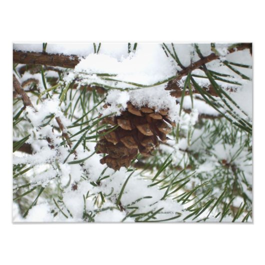 Snowy Pine Cone I Winter Natuur Foto Foto Afdruk (Voorkant)