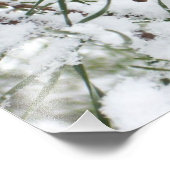 Snowy Pine Cone I Winter Natuur Foto Foto Afdruk (Hoek)