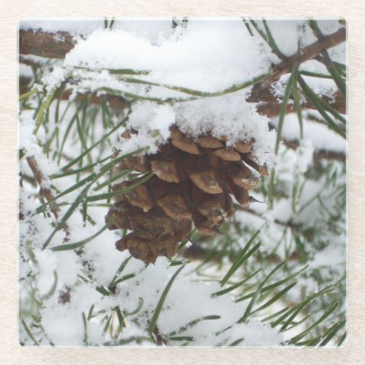 Snowy Pine Cone I Winter Natuur Foto Glazen Onderzetter (Voorkant)