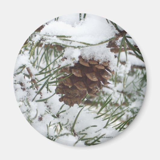 Snowy Pine Cone I Winter Natuur Foto Magneet (Voorkant)