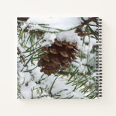Snowy Pine Cone I Winter Natuur Foto Notitieboek (Achterkant)