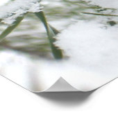 Snowy Pine Cone I Winter Natuur Foto Poster (Hoek)