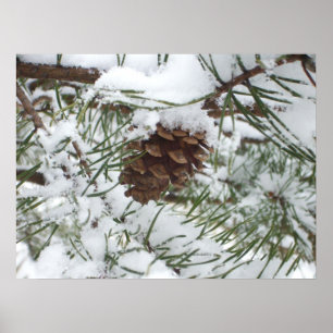 Snowy Pine Cone I Winter Natuur Foto Poster