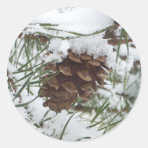 Snowy Pine Cone I Winter Natuur Foto Ronde Sticker