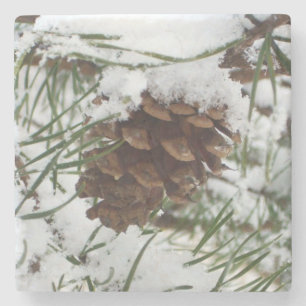 Snowy Pine Cone I Winter Natuur Foto Stenen Onderzetter