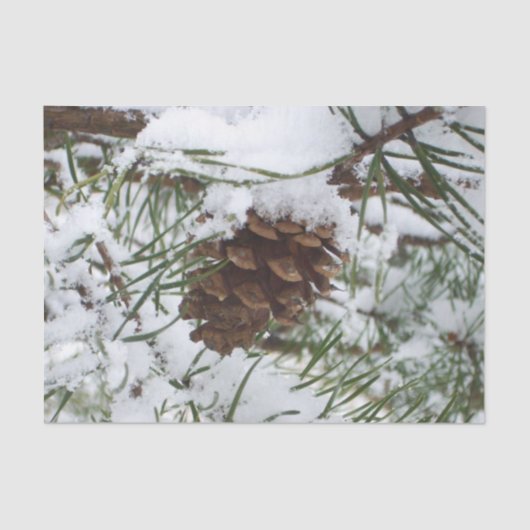 Snowy Pine Cone I Winter Natuur Foto Tissuepapier (Voorkant)